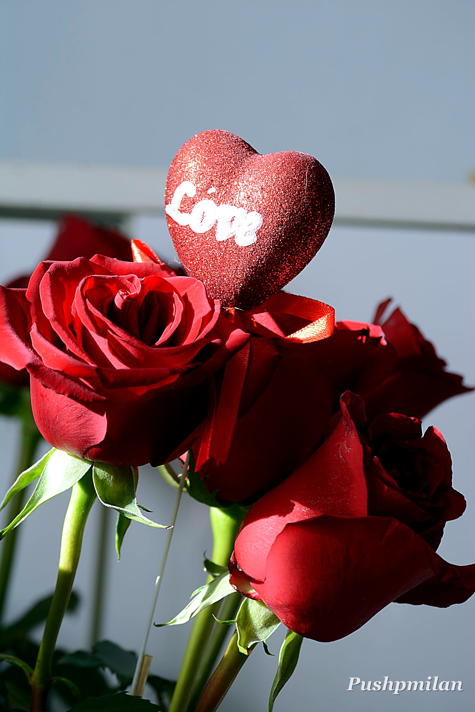 Valentine's Day gifts